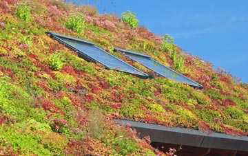 Strubby living roof systems