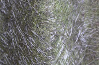 Strubby fibreglass roof work